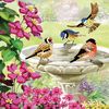 Diamond Painting "Crystal Art Card" Birds